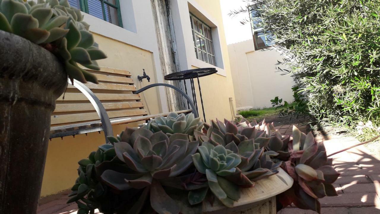 Calvinia Guesthouse מראה חיצוני תמונה